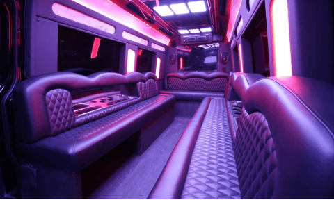 Cedar Park 14 Passenger Sprinter Bus Interior
