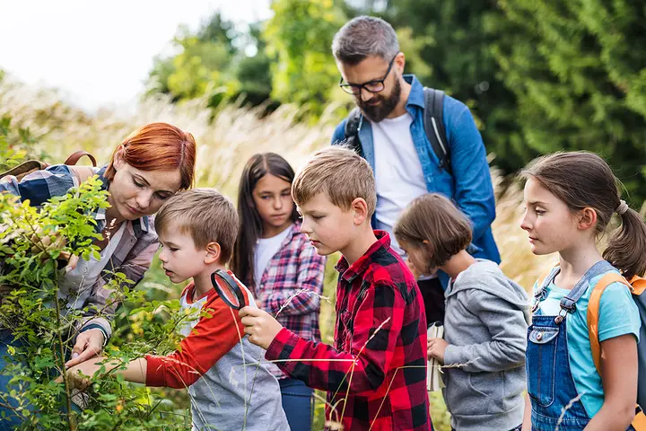 School Field Trip Bus Rentals in Flower Mound